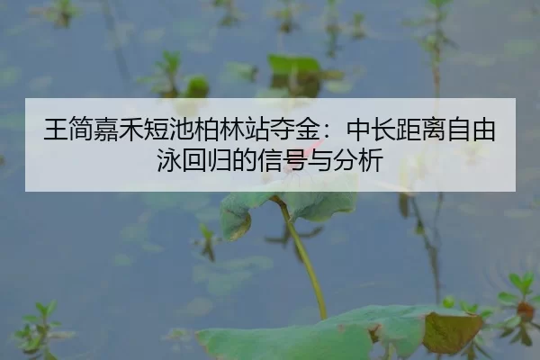 wang-jian-jia-he-duan-chi-bo-lin-zhan-duo-jin-zhong-chang-ju-li-zi-you-yong-hui-gui-de-xin-hao-yu-fen-xi-2-401.jpg
